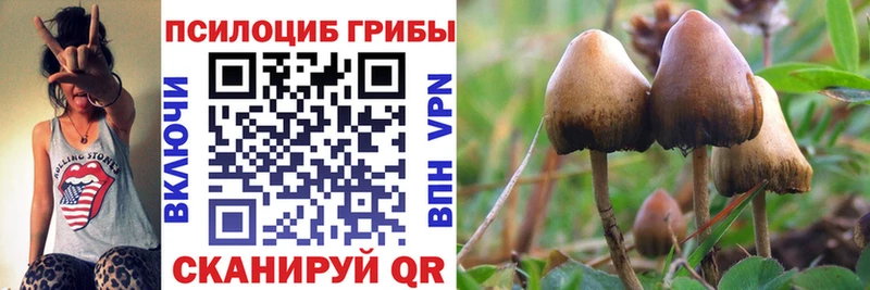 купить   Азов  Галлюциногенные грибы ЛСД 