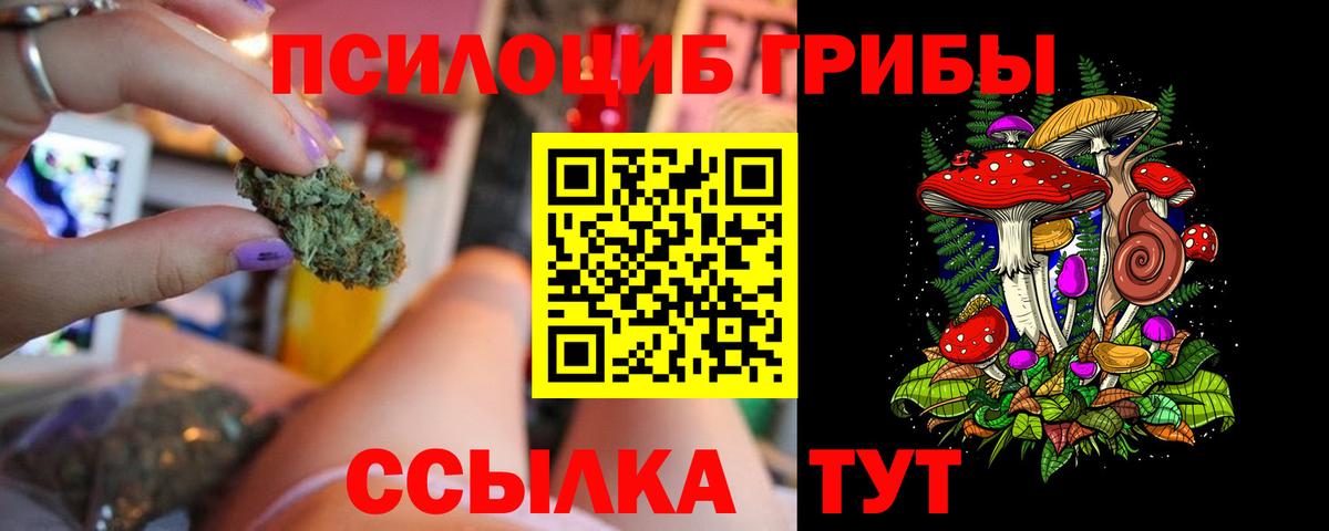 Псилоцибиновые грибы Psilocybine cubensis  Галлюциногенные грибы прущие грибы  Азов  Вход с VPN 
